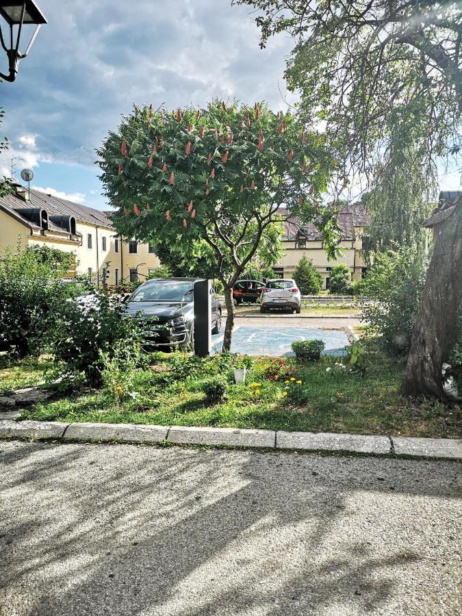Apartman Sunny Daire Cetinje Dış mekan fotoğraf