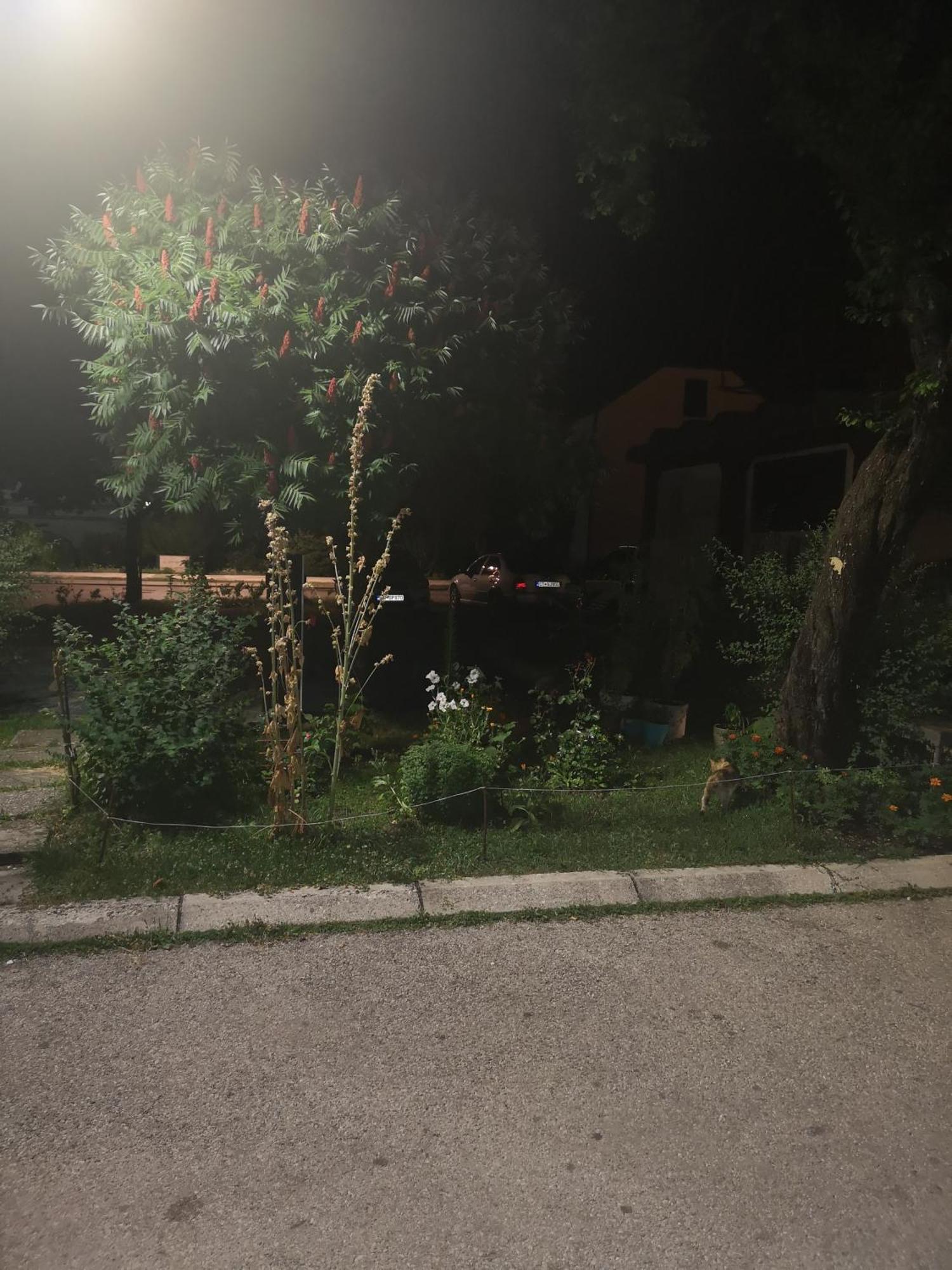 Apartman Sunny Daire Cetinje Dış mekan fotoğraf