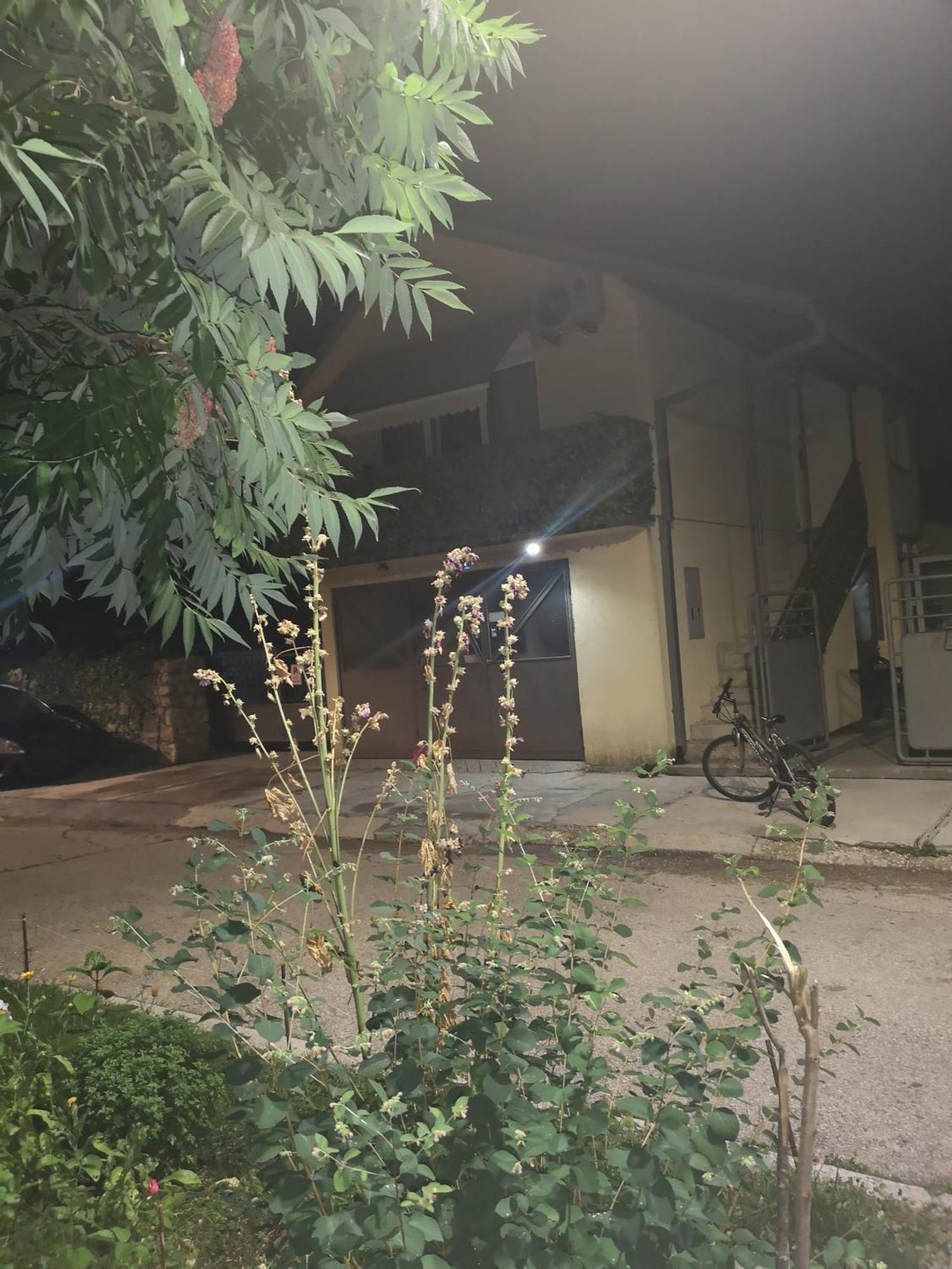 Apartman Sunny Daire Cetinje Dış mekan fotoğraf